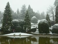 DSC 0654  Giardini Estensi Varese